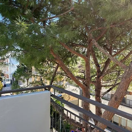 Aura Living 3*