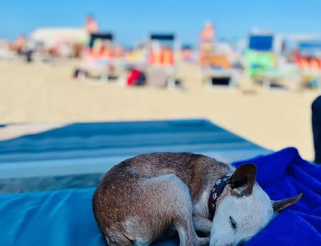 מלון Aura Living 3*